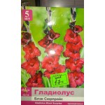 Гладиолусы махровые