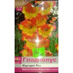 Гладиолусы